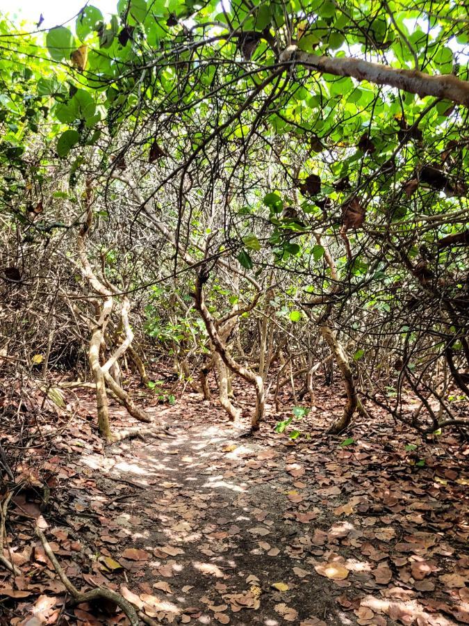 Hotel Yerba Buena Tayrona El Zaino Dış mekan fotoğraf